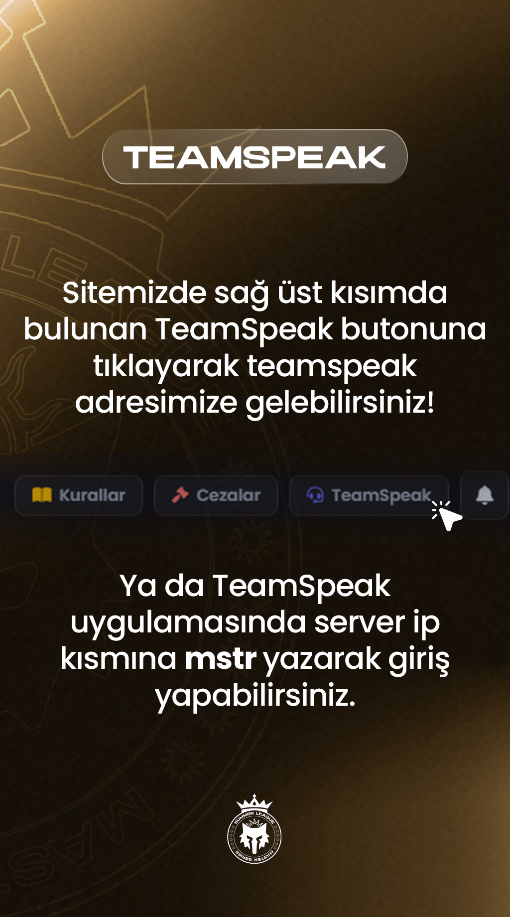 Sponsor